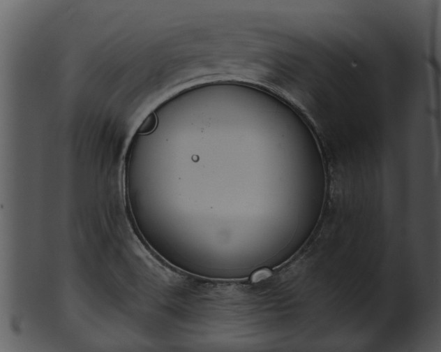 X0000101421516200807141142