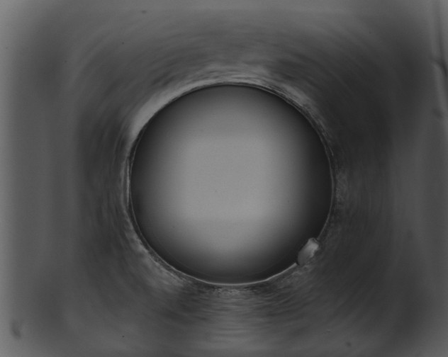 X0000101421520200807141142