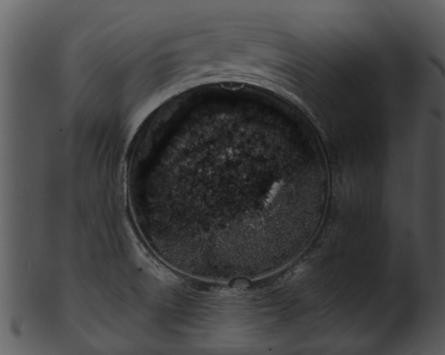 X0000101421522200807141142