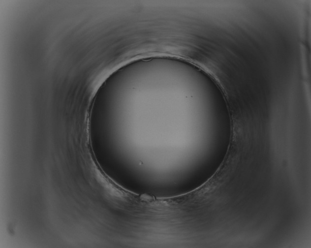 X0000101421524200807141142
