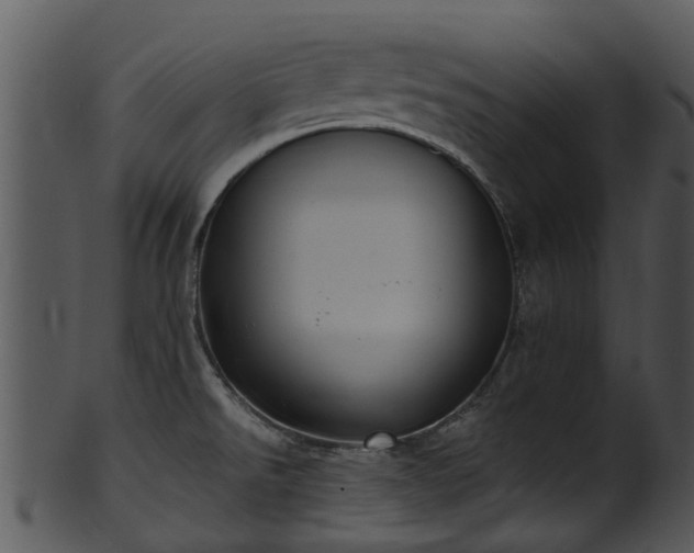 X0000101421526200807141142