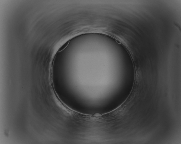 X0000101421528200807141142