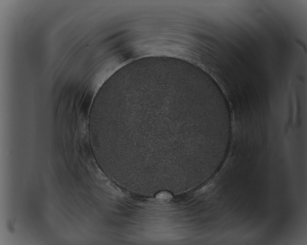X0000101421529200807141142