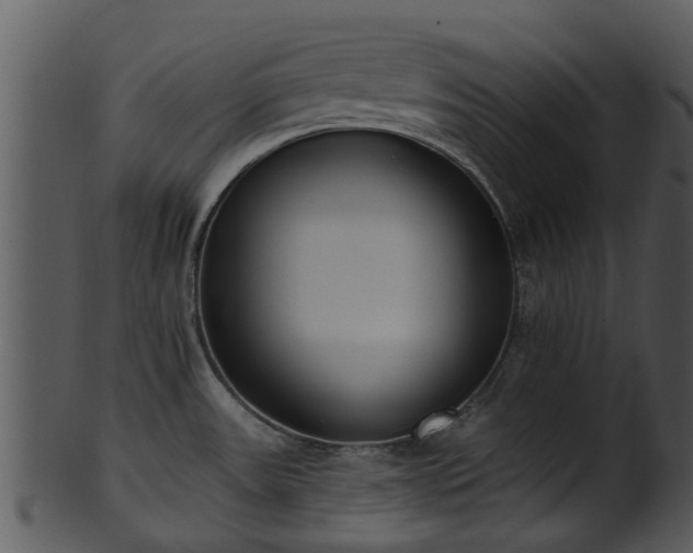 X0000101421531200807141142