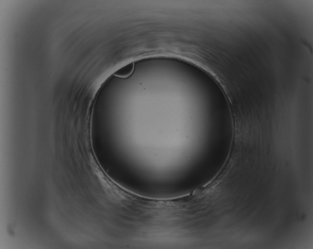 X0000101421534200807141142