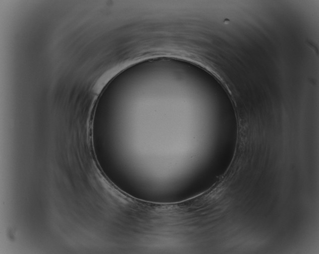 X0000101421535200807141142