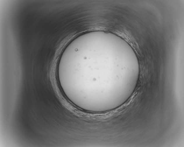 X0000101420001200807211139