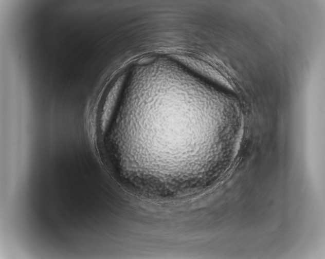 X0000101420002200807211139