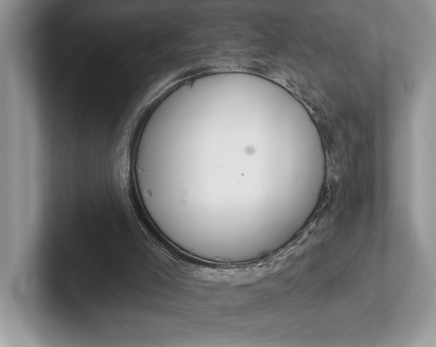 X0000101420005200807211139