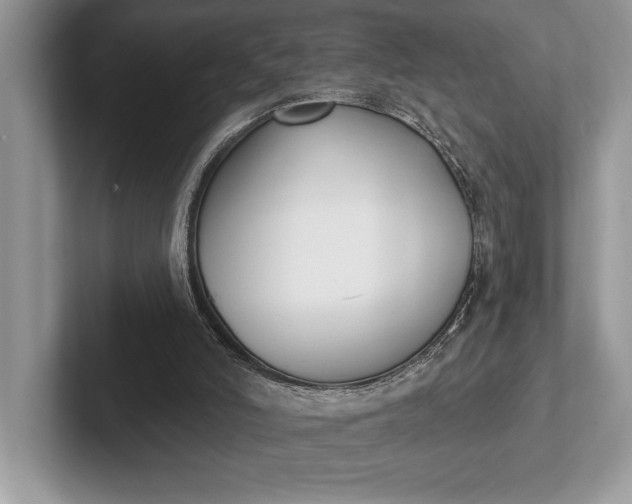 X0000101420006200807211138
