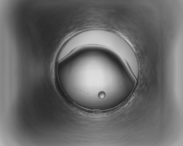X0000101420008200807211138