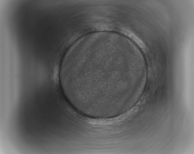 X0000101420009200807211138