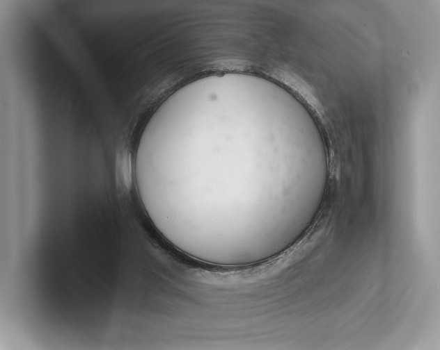 X0000101420013200807211138