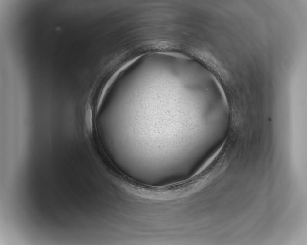 X0000101420014200807211138