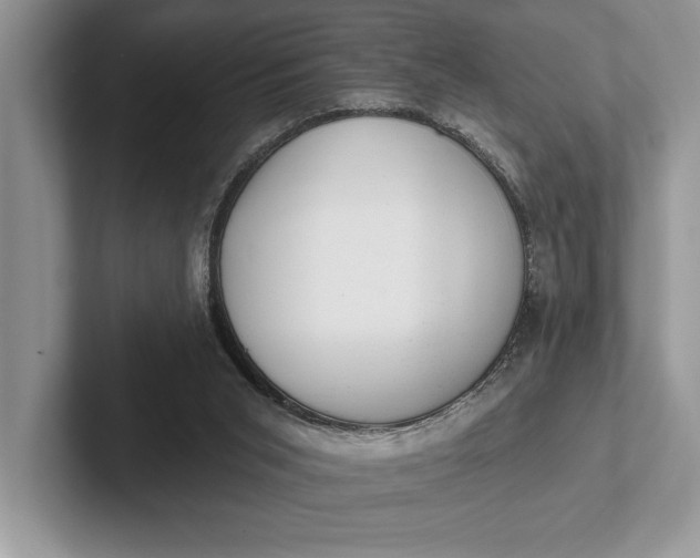 X0000101420015200807211138