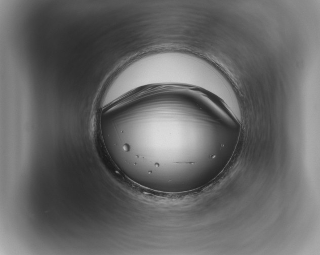X0000101420016200807211138