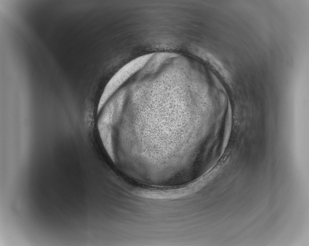 X0000101420017200807211138