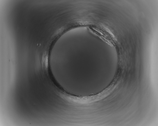 X0000101420019200807211138