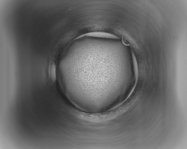 X0000101420022200807211138