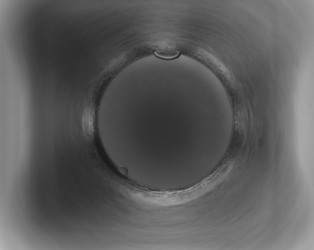 X0000101420023200807211138