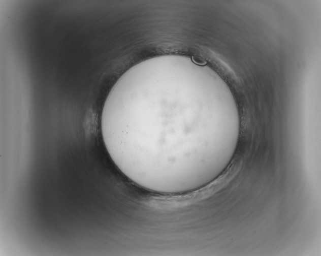 X0000101420025200807211138