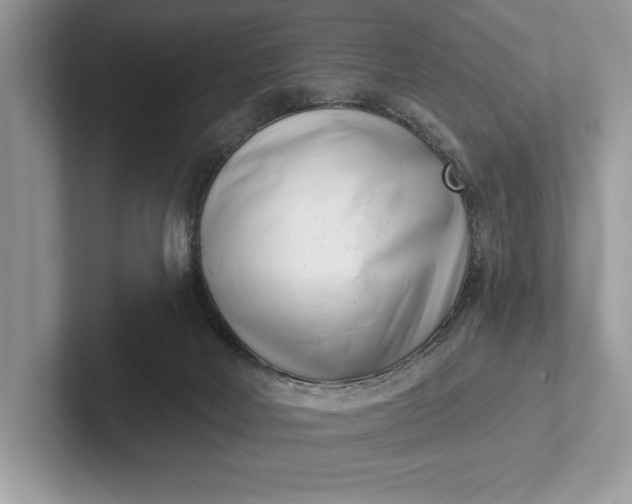 X0000101420026200807211138