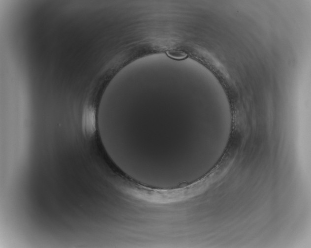X0000101420027200807211138
