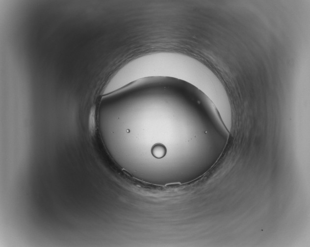 X0000101420028200807211138