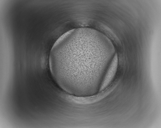 X0000101420030200807211138