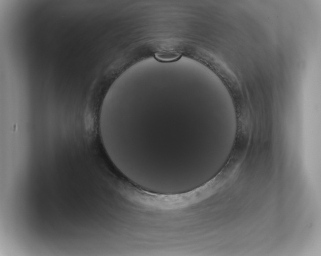 X0000101420031200807211138