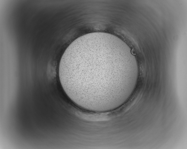 X0000101420032200807211138