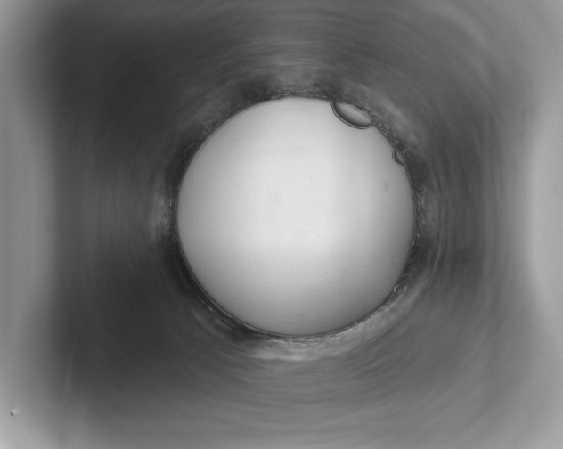 X0000101420033200807211138