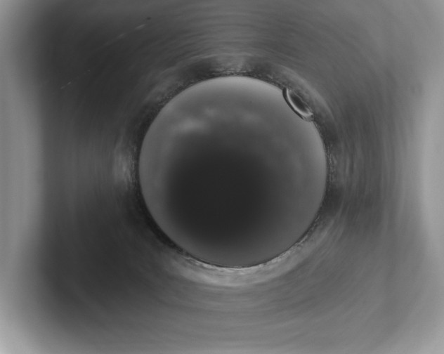 X0000101420035200807211138
