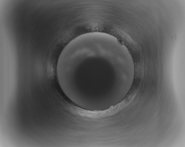 X0000101420039200807211138