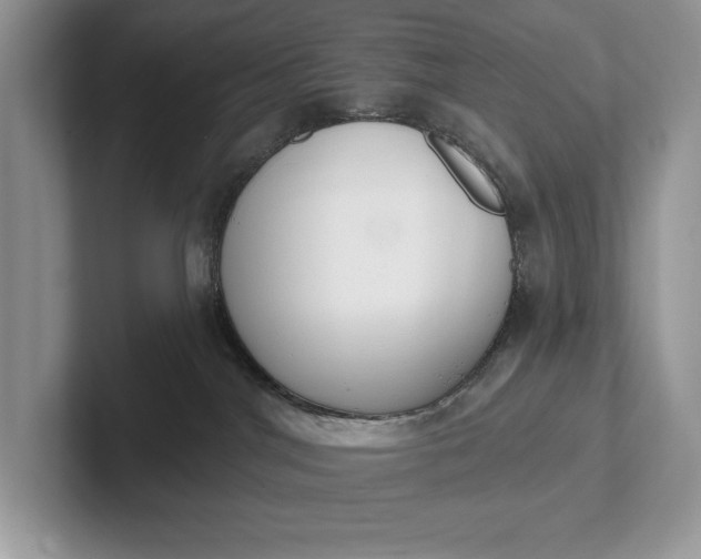 X0000101420044200807211138