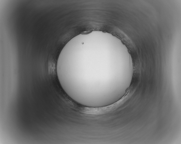 X0000101420045200807211138