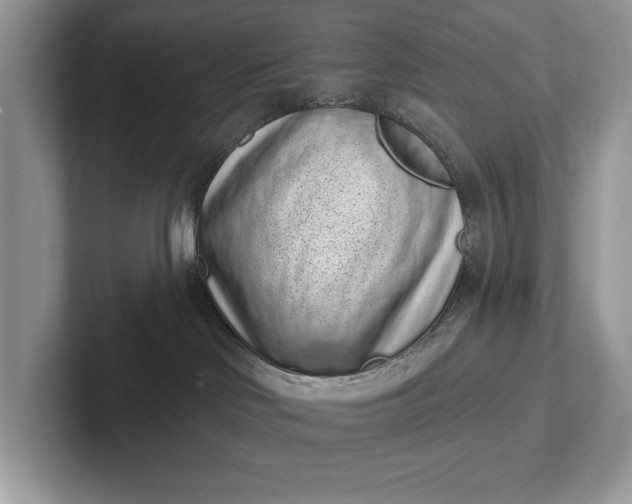 X0000101420046200807211138