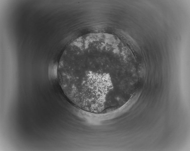 X0000101420047200807211138