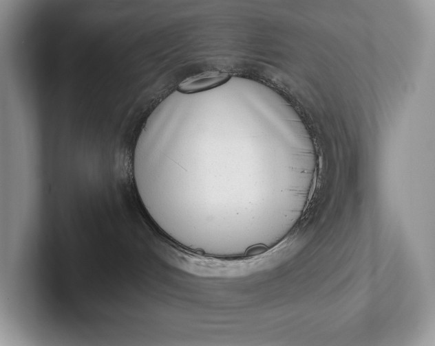 X0000101420048200807211138