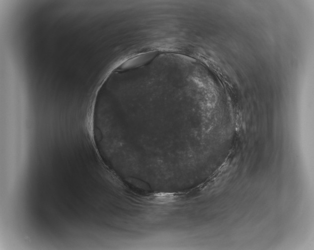 X0000101420052200807211137