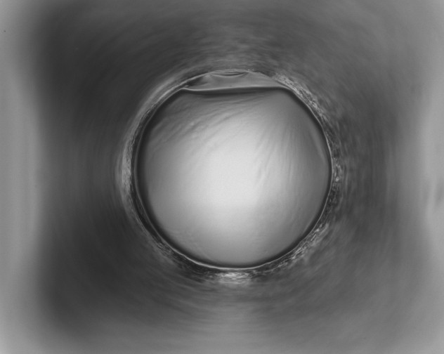 X0000101420053200807211137
