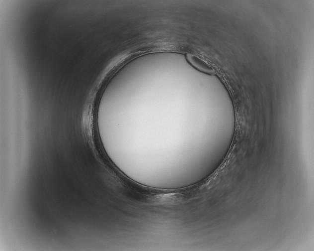 X0000101420054200807211137