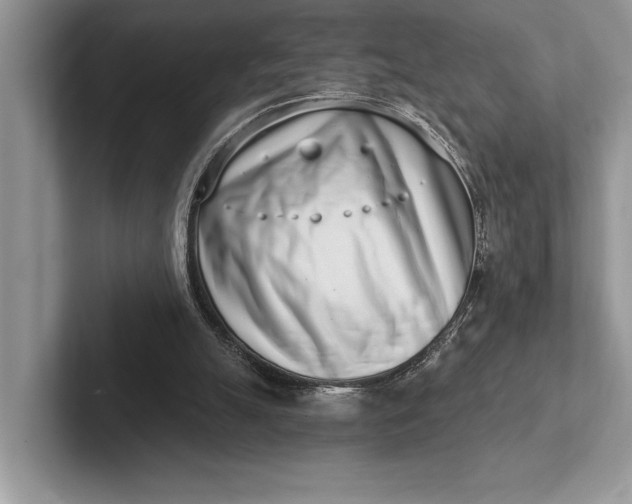 X0000101420055200807211137