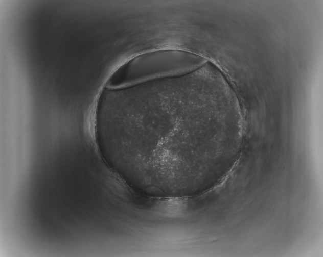 X0000101420056200807211137
