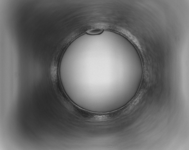 X0000101420057200807211137