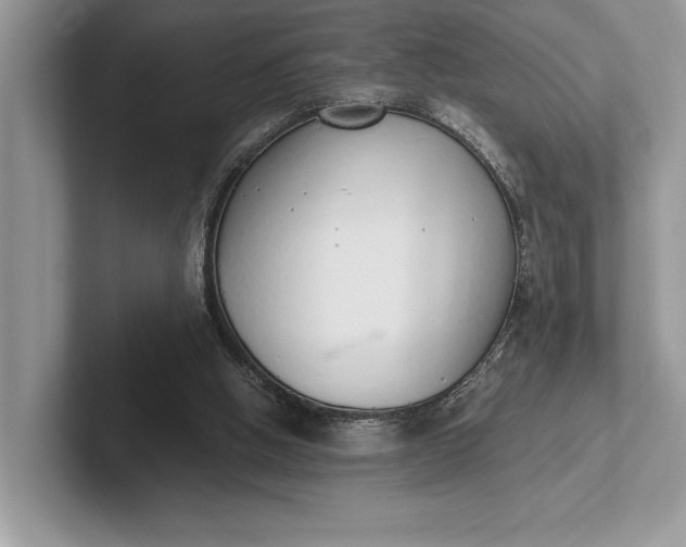 X0000101420058200807211137