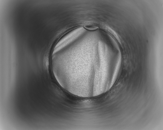 X0000101420059200807211137