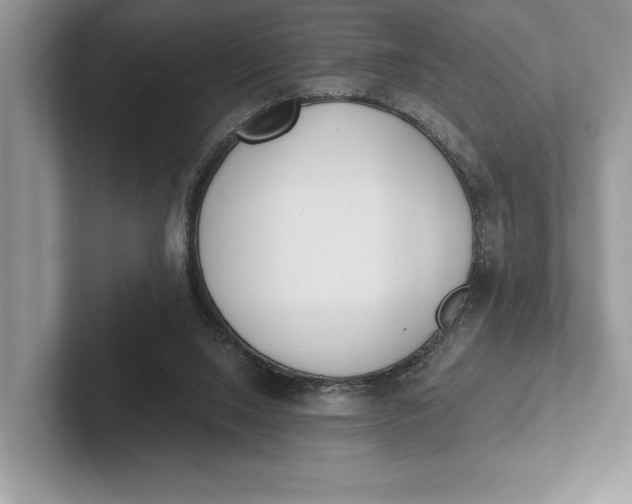 X0000101420064200807211137