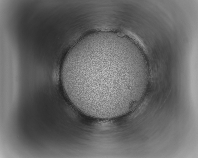 X0000101420065200807211137