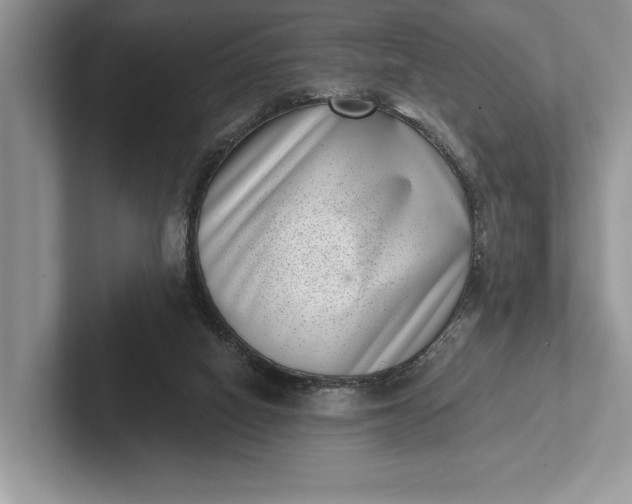 X0000101420066200807211137